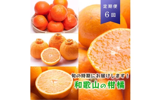 【偶数月 全6回 】 柑橘定期便B【IKE14】 1330805 - 和歌山県九度山町