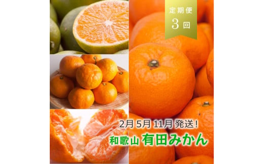 【 2・5・11月 全3回 】 柑橘定期便B【IKE8w】 1330803 - 和歌山県九度山町