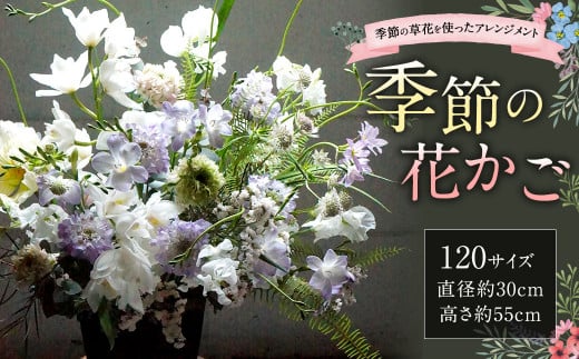【指定日必須】季節の花かご（120サイズ） 1331058 - 福岡県直方市