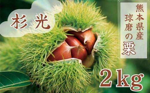 [発送時期:2024年9月上旬〜]熊本県JAくま産 球磨の栗 杉光 2kg(2L以上)