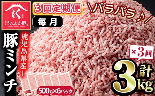 s582-A 【毎月・定期便3回】鹿児島うんまか豚ミンチ(計9kg・500g×6P×3回)【肉の寺師】 1331998 - 鹿児島県さつま町