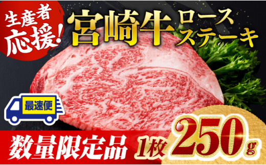 《数量限定》宮崎牛ロースステーキ1枚 (250g) 肉 牛肉 宮崎県産 黒毛和牛