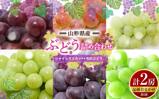 【2025年度発送】山形県産 ぶどう 詰め合わせ （シャインマスカット1房＋品種おまかせ１房 計2房）  マスカット ブドウ 葡萄 デザート フルーツ 果物 くだもの 果実 食品 山形県 FSY-0663