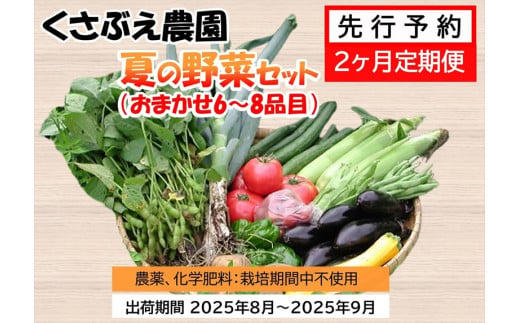 【先行予約2ヶ月定期便】 くさぶえ農園 夏の野菜セット (おまかせ6～8品目) 高原野菜 無農薬〈2025年8月1日出荷開始～2025年9月30日出荷終了〉【 産地直送 産直 高原野菜 季節の野菜 旬の野菜 有機野菜 有機栽培 農薬 化学肥料 不使用 長野県 佐久市】 1410216 - 長野県佐久市