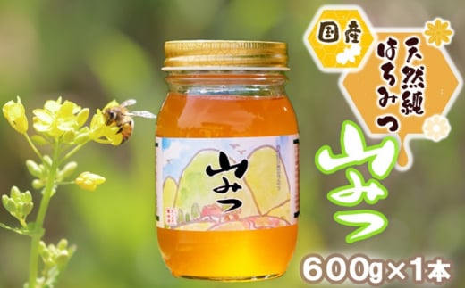 はちみつ 国産 天然 純はちみつ やまみつ 600g ハチミツ 蜂蜜 982655 - 福岡県小郡市