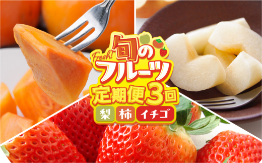 [定期便]本巣市フルーツ3回お届け定期便[mt225]