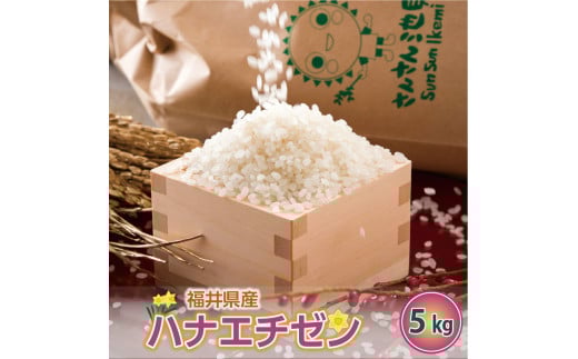 【先行予約】【令和7年産・新米】ハナエチゼン 5kg～坂井市三国町産・こだわりの精米対応～ （5分づき）【2025年8月下旬以降順次発送予定】 [A-0255_03] 205697 - 福井県坂井市