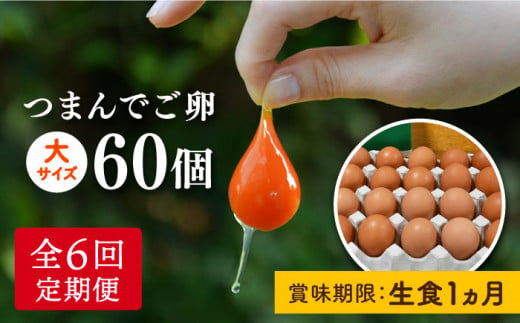 【 全6回 定期便 】つまんでご 卵 60個 定期便（月1回）糸島 / 緑の農園 [AGA015] ランキング 上位 人気 おすすめ