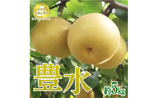 【先行予約限定】 茨城県産【豊水梨】約5kg【茨城県共通返礼品　かすみがうら市産】※2024年8月中旬～9月中旬頃に順次発送予定 ※離島への配送不可 1329365 - 茨城県土浦市