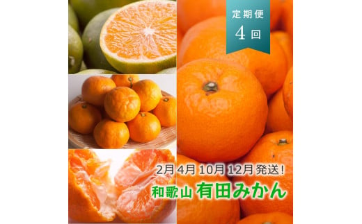【 2・4・10・12月 全4回 】 柑橘定期便B【IKE6w】 1330804 - 和歌山県九度山町