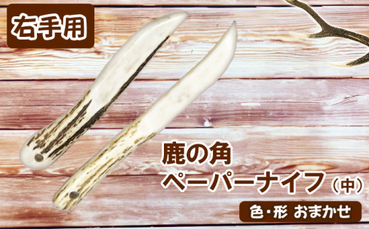 ＜色、形、大きさおまかせ＞鹿の角 ペーパーナイフ （中）右手用【竜鹿】 / 本物 加工 文房具 鹿 1328846 - 岩手県滝沢市