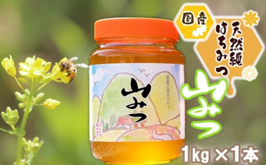 はちみつ 国産 天然 純はちみつ やまみつ 1kg ハチミツ 蜂蜜 982656 - 福岡県小郡市