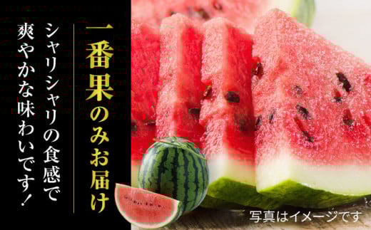 大玉 すいか スイカ 西瓜 熊本 果物 くだもの フルーツ 人気 新鮮 産地直送 甘い 糖度 大きい サイズ 熊本県 山鹿市