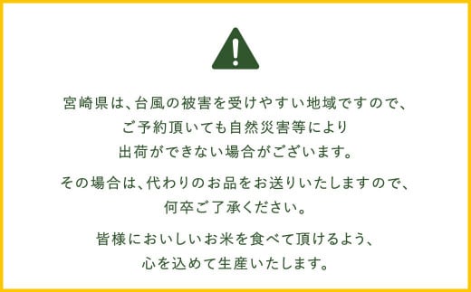 宮崎県産 夏の笑み（無洗米）5kg 3か月定期便