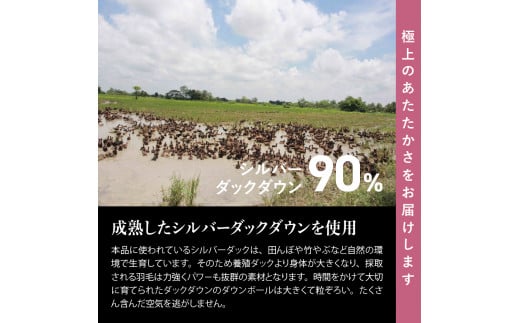 山梨県富士吉田市のふるさと納税 【甲州羽毛本掛けふとん】ちょうど良い厚みの本掛けふとん1.0kg シングル（グレー） 羽毛布団 寝具 甲州羽毛布団 軽量 本掛けふとん 山梨 富士吉田