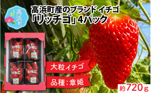 【先行予約】【2025年2月第4週目より順次お届け】発送時期が選べる！福井県高浜町産のブランド生いちご【リッチゴ】約720g 578572 - 福井県高浜町