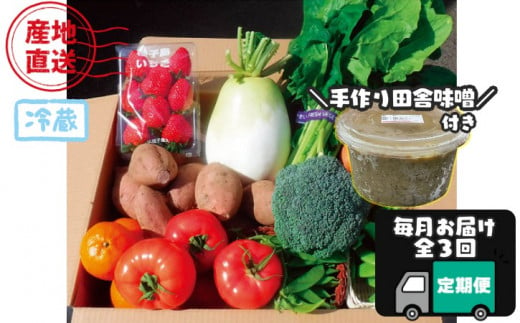 【３か月 定期便 】 種子島 の新鮮 野菜 と 果物 ７～１０品 と 田舎味噌1kg セット　NFN565 【1125pt】