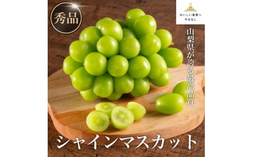 ＜秀品・JA全農やまなし＞山梨県産ハウス栽培シャインマスカット 1房(約500g)＜6月上旬～発送＞【1491131】 1332814 - 山梨県山梨県庁