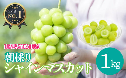 ＜25年発送先行予約＞山梨県笛吹市産シャインマスカット約1Kg　※クール便配送  113-003