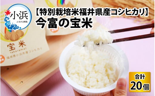 今富の宝米 特別栽培米福井県産コシヒカリ パックご飯 150g × 20パック