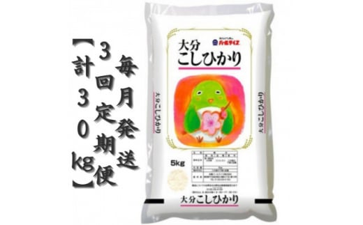 ＜毎月定期便＞大分のお米　大分県産こしひかり5kg×2(日出町)全3回【4050499】 1333696 - 大分県日出町