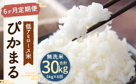 【6ヶ月定期便】 低アミロース米 ぴかまる 5kg 無洗米 計30kg お米 単一原料米 福岡県産