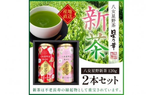 新茶 八女星野茶 120g 2本詰め＜先行予約＞【A2-131】新茶 日本茶 緑茶 八女茶 八女星野茶 贈答 初物 旬 ふるさと納税 茶