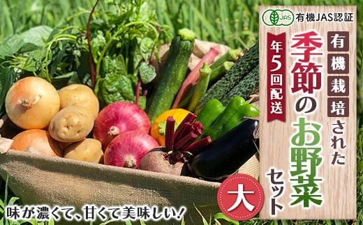 《有機JAS認証》 オーガニック 季節のお野菜が届く定期便（大） 年5回配送 F23R-833 1335856 - 福島県白河市