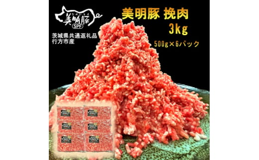 ＜美明豚＞挽肉(500g×6パック)(茨城県共通返礼品・行方市産)【1447994】