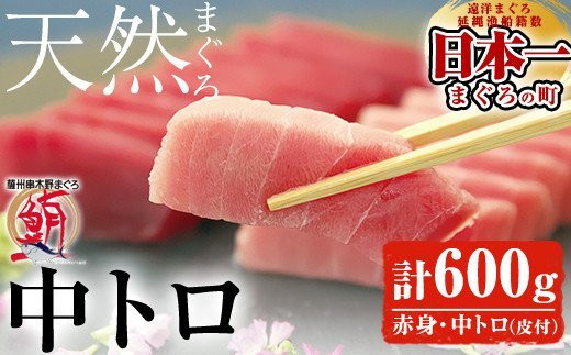 A-1664H「旬」の天然メバチまぐろ中トロ柵（皮付）100g×2柵、赤身100g×4柵 合計約600g　小分け柵で便利！【海鮮まぐろ家】中トロ 赤身 冷凍