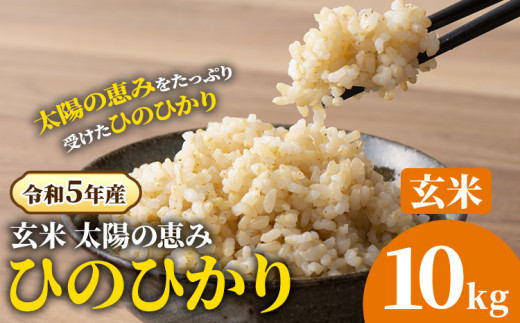 O-2_10k [令和5年産] 岡山県産 ひのひかり 笠岡産 10kg 太陽の恵み (玄米)※ 期間限定 米粉プレゼント中です。