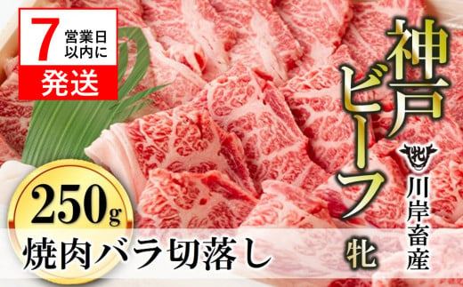 西脇市黒田庄町で大切に育てられた、神戸ビーフ牝牛「バラ焼肉切落し250g」をお届けします。