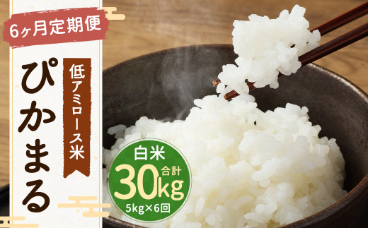 【6ヶ月定期便】 低アミロース米 ぴかまる 5kg 白米 計30kg 単一原料米 お米 福岡県産