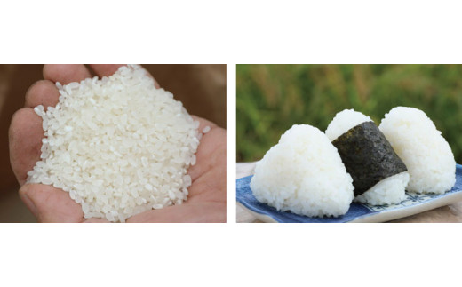 米作りに必要な水に恵まれ、こだわった自家製の堆肥による土作りにより、炊き上がった瞬間に違いの分かるお米です。