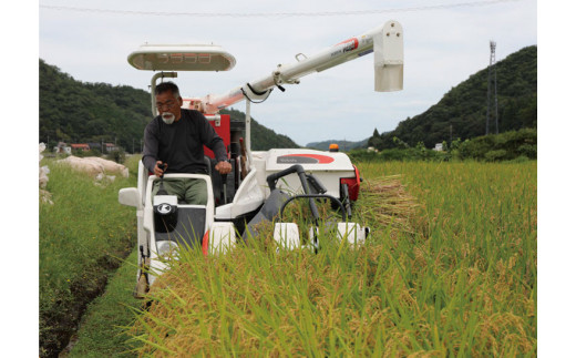 田植えの際は、植え付け株数を減らし、しっかりとした根張りで土の栄養をとらせ、太陽の光を浴びた丈夫で粒の大きなお米を育てます。