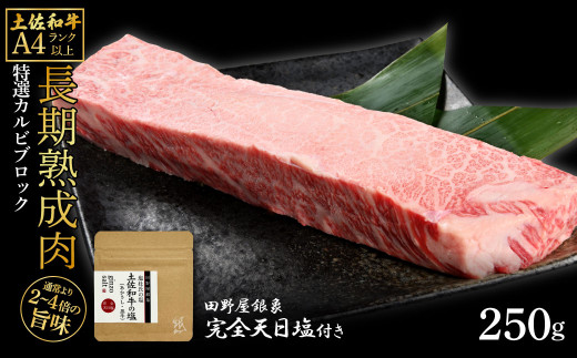 土佐和牛 特選カルビブロック250g 田野屋銀象完全天日塩1P付き 特選 長期熟成肉 田野屋銀象 完全天日塩付き カルビ 牛肉 ブロック 肉 お肉 和牛 国産 牛 熟成肉 ブロック肉 豪華 贅沢