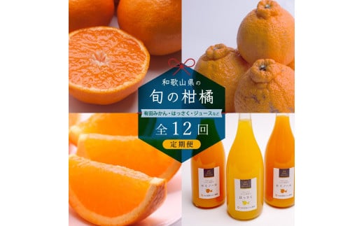 【 毎月発送 全12回 】 柑橘定期便A【IKE9】 1333629 - 和歌山県由良町