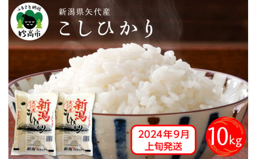 令和5年産 【2024年9月中旬発送】新潟県矢代産コシヒカリ2kg 新潟県妙高市｜ふるさとチョイス ふるさと納税サイト