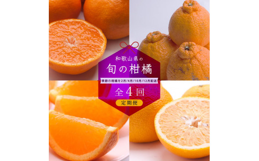 【 2・4・10・12月 全4回 】 柑橘定期便B【IKE6】 1333631 - 和歌山県由良町