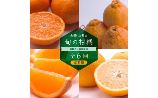 【偶数月 全6回 】 柑橘定期便A【IKE13】 1333628 - 和歌山県由良町