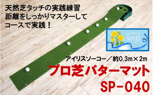 【父の日ギフト】ゴルフ練習用　アイリスソーコー　プロ芝パターマット　SP-040_2408R