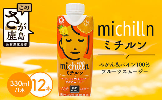 果汁ミックスジュース　ミチルン　330ml×12本　B-763 1333836 - 佐賀県鹿島市