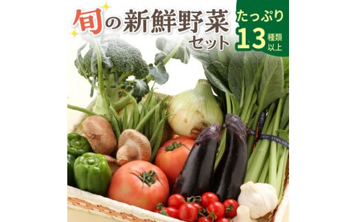 [0054-2]旬の新鮮野菜セットたっぷり13種以上