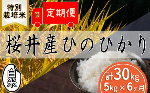 M-HE2.定期便[白米][特別栽培米]桜井市高家産 ヒノヒカリ (5kg×6回)
