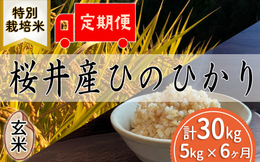 M-HE3.定期便[玄米][特別栽培米]桜井市高家産 ヒノヒカリ(5kg×6回)