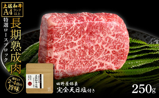 土佐和牛 特選ロースブロック250g 田野屋銀象完全天日塩1P付き 長期熟成肉 田野屋銀象 完全天日塩付き ロース 牛肉 ブロック 肉 お肉 和牛 国産 牛 熟成肉 ブロック肉 贅沢 真空パック