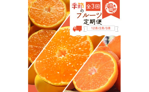 G60-T52_【定期便 全4回】紀州和歌山産旬の柑橘セット（田村みかん・はるみ・不知火）