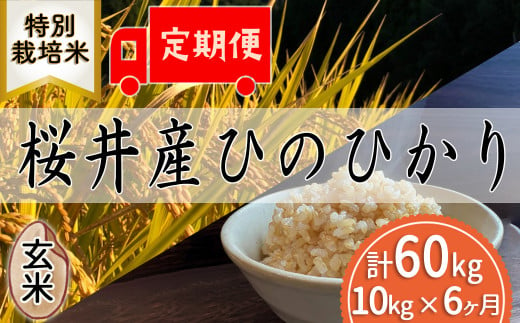 M-JCG2.定期便[玄米][特別栽培米]桜井市高家産 ヒノヒカリ(10kg×6回)