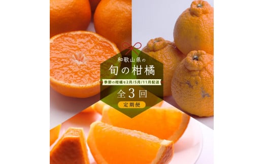 【 2・5・11月 全3回 】 柑橘定期便A【IKE7】 1333626 - 和歌山県由良町