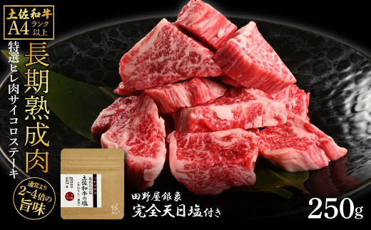 土佐和牛 特選ヒレ肉サイコロステーキ250g 田野屋銀象完全天日塩1P付き 特選 長期熟成肉 田野屋銀象 完全天日塩付き ヒレ肉 ステーキ 肉 お肉 和牛 牛肉 国産 牛 熟成肉 サイコロステーキ